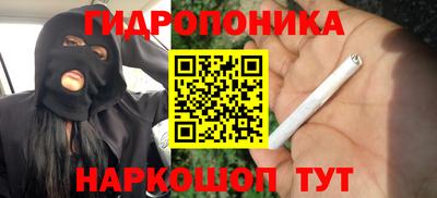 молекула духа Бузулук