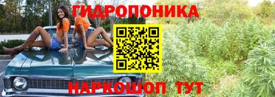 спайс Будённовск
