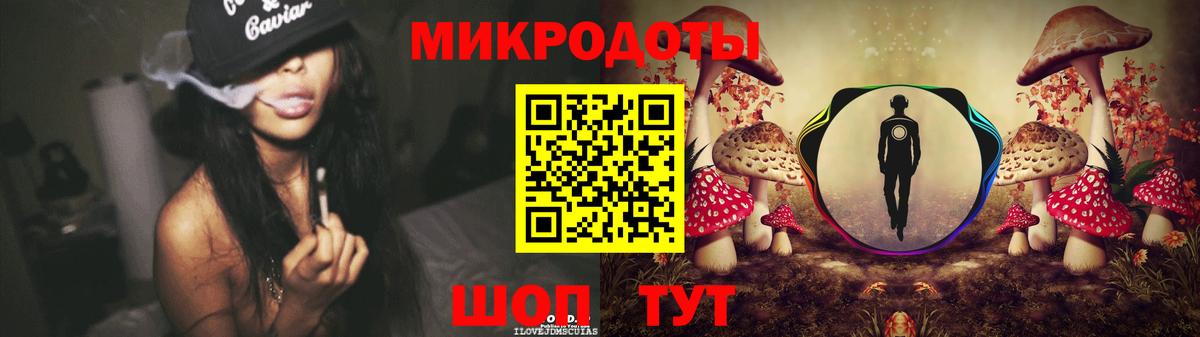 Галлюциногенные грибы Psilocybine cubensis Одинцово